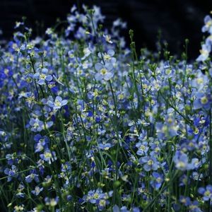 Meet your Posher, Escape with me